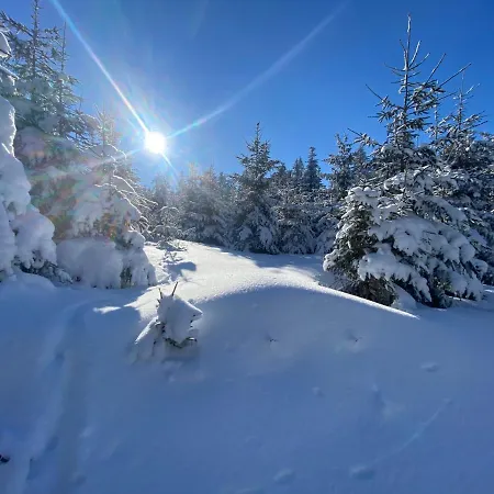 Mit Sommercard アパート ヴィンターベルク