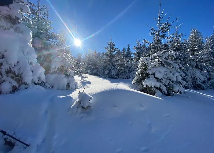 Mit Sommercard Apartamento Winterberg