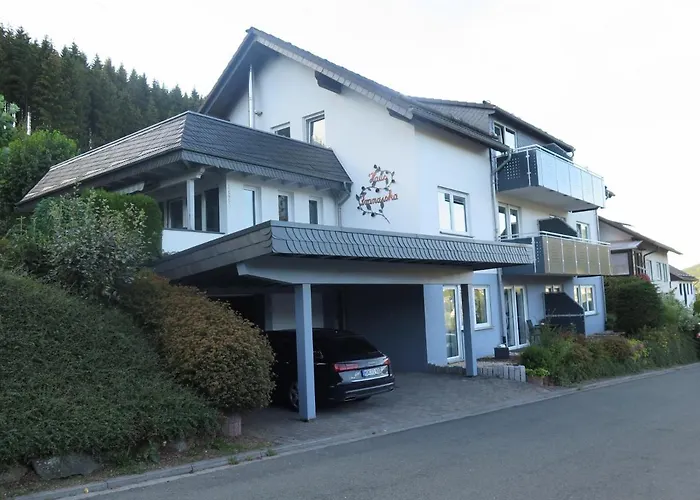 Appartement Siebenglueck - 4 Fewo's Mit Sommercard Winterberg